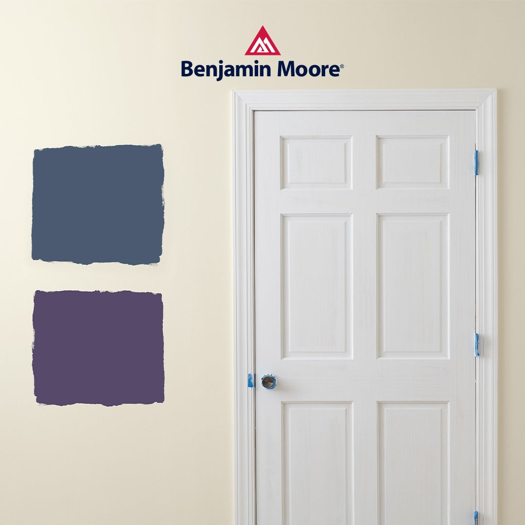 Benjamin Moore Paint Colour Sample On The Wall - 240ml (8oz) - The Paint People